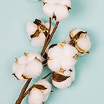 Die 8 größten Vorteile von Bio-Babykleidung